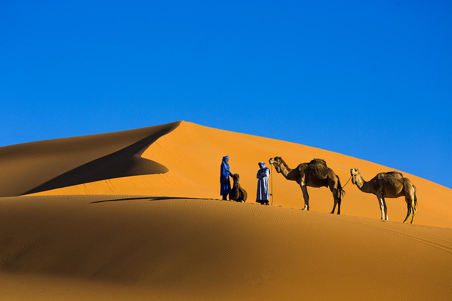 Sahara Desert Photograph by Sally Widjaja
