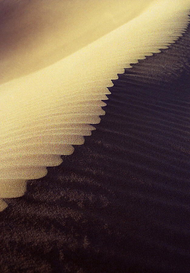 Sahara Dune Detail Photograph by Robert Woodward