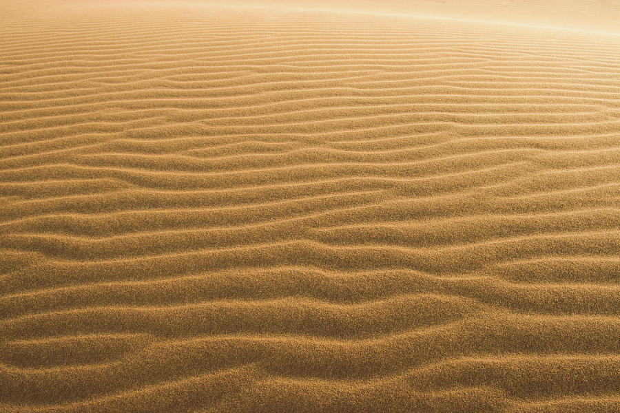Saharan Sand Ripples Photograph by Andrew Luyten