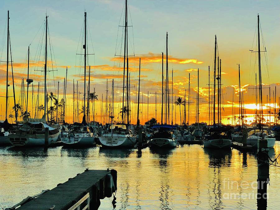 Sail Boat Sunset Photograph