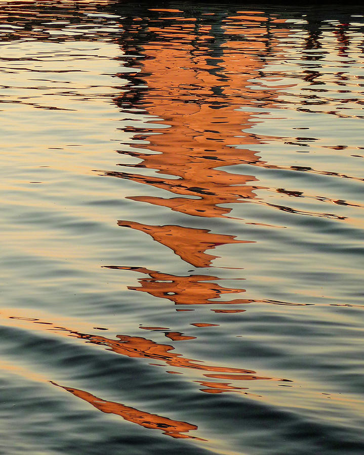 Sail Reflection Photograph by Joe Kopp