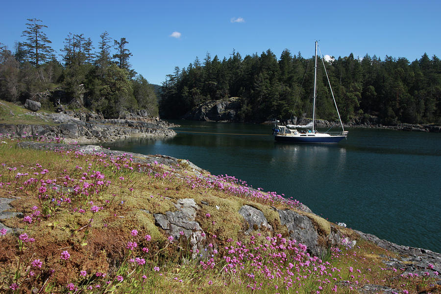 Sailboat at Anchor in a Scenic Bay by Pacific Northwest Sailing Sailboat at Anchor in a Scenic Bay by Pacific Northwest Sailing