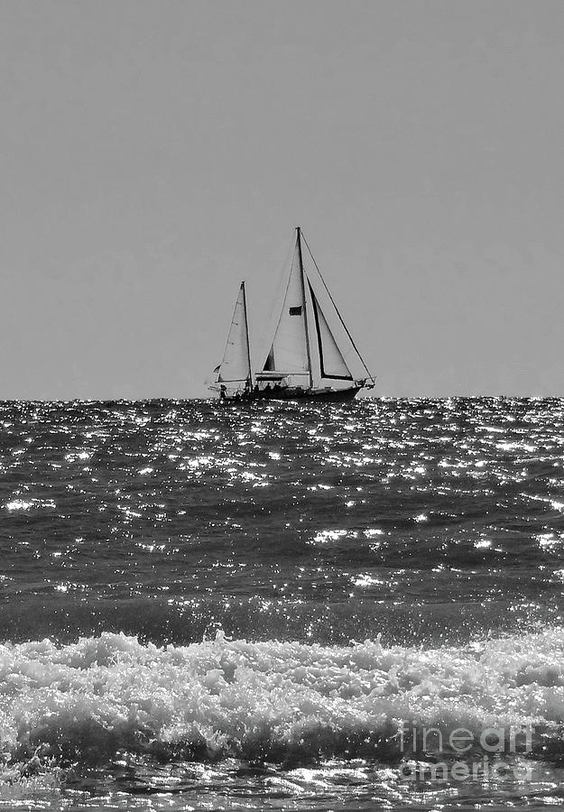 Sailboat Photograph - Sailboat In Black And White by Megan Cohen Sailboat Photograph - Sailboat In Black And White by Megan Cohen