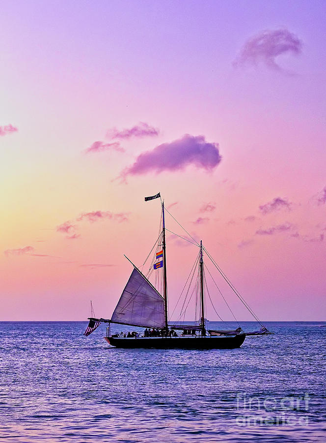 Sailboat in Keywest Photograph by Bill Frische