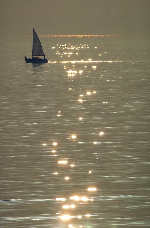 Sailing To Catalina X Photograph