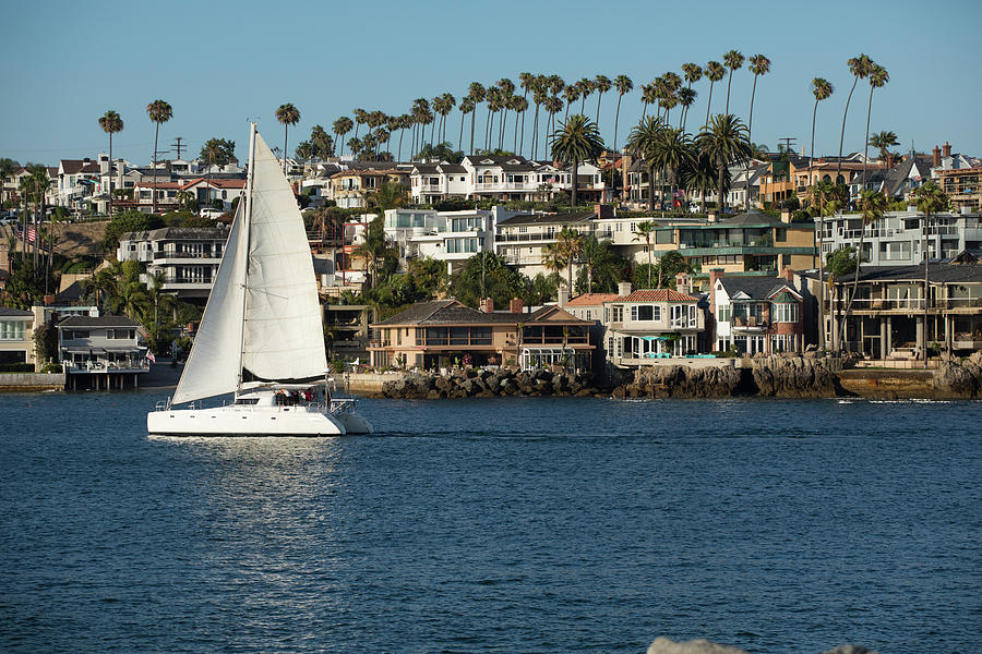 Sailboat In The Pacific Ocean, Newport Photograph by Panoramic Images
