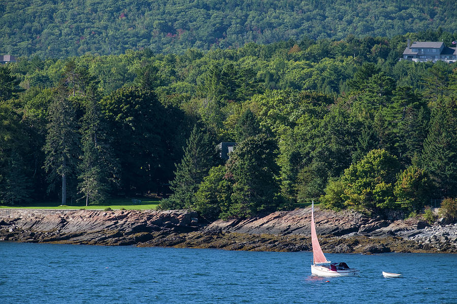 Sailboat off Mount Desert Island Photograph by David L Moore