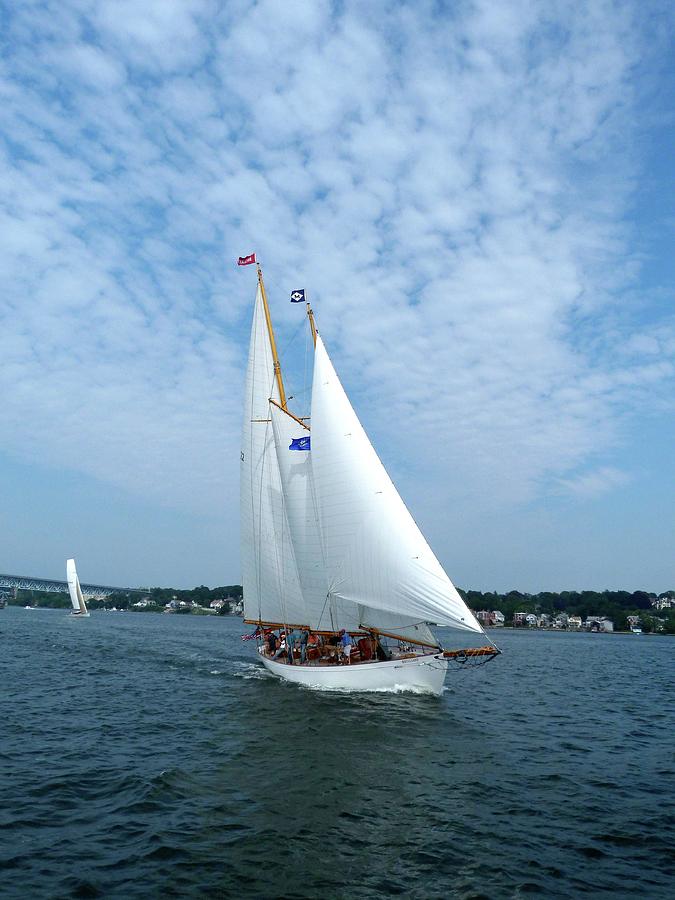 Sailboat on Thames River by Toni Leland Sailboat on Thames River by Toni Leland