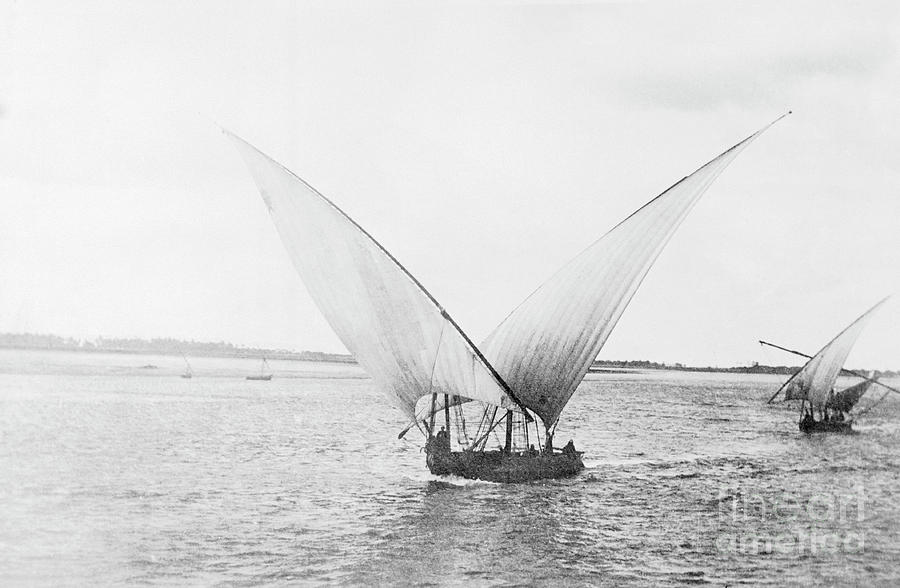 Sailboat On The Nile Photograph by Bettmann