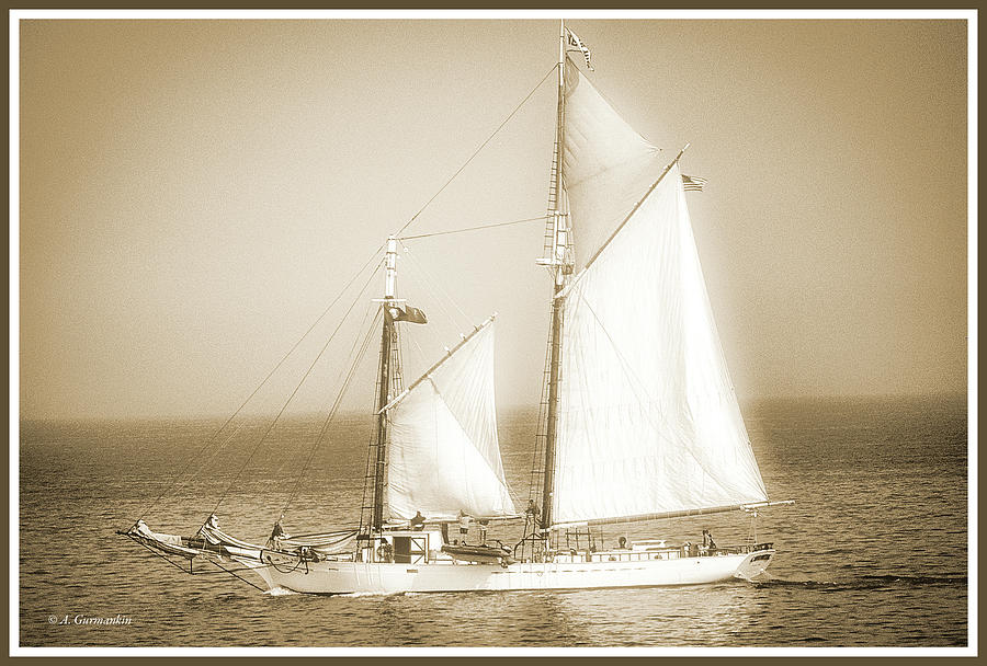 Sailboat on the Sea Photograph by A Macarthur Gurmankin