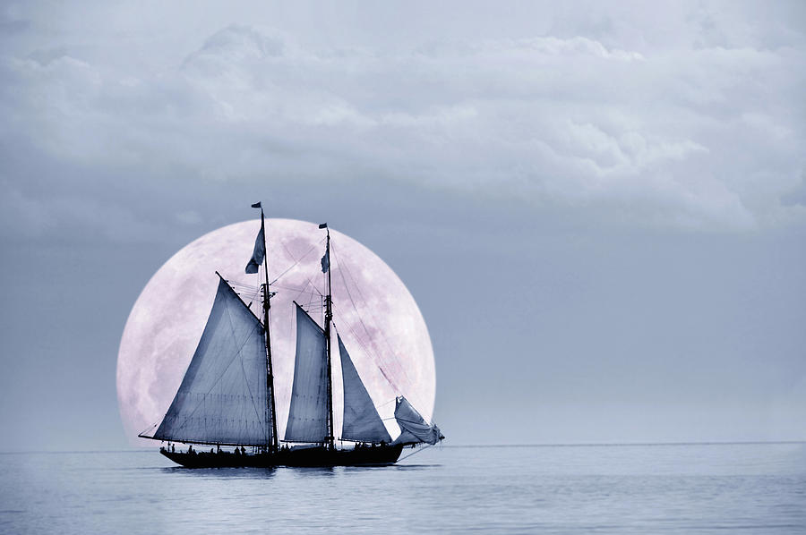 Sailboat  On Water Photograph by Grant Faint