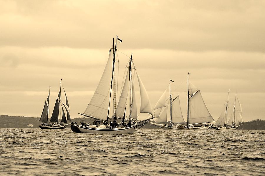 sailboat race marks