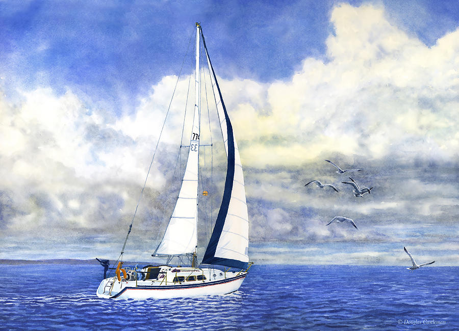 Sailboat with Seagulls Painting by Douglas Castleman