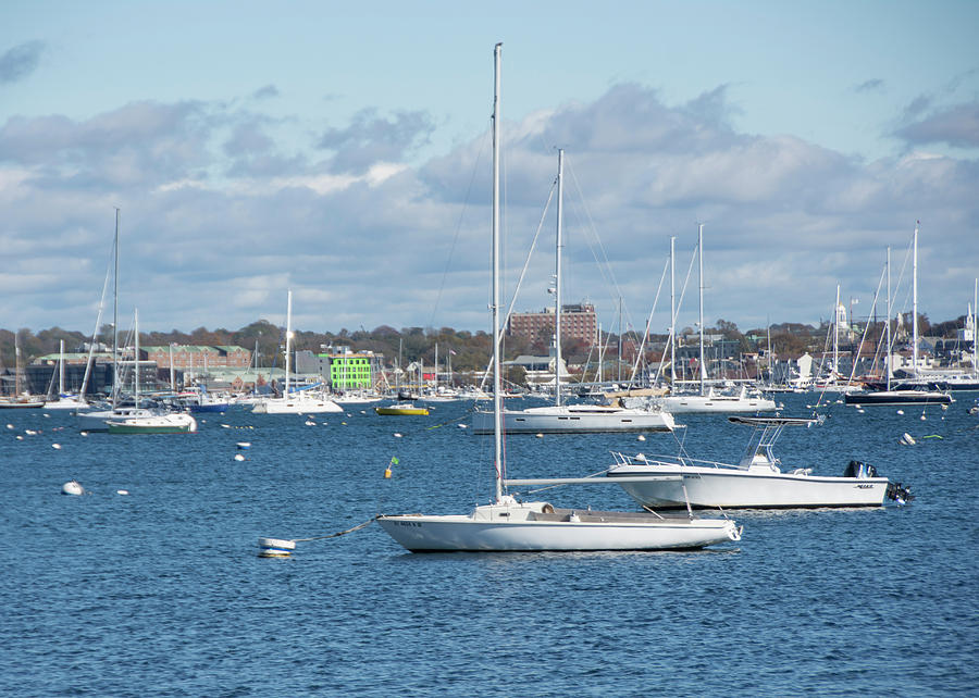 sailboat newport ri