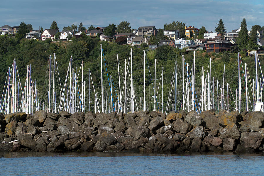 Seattle Photograph - Sailboats in Seattle by Mark Langford