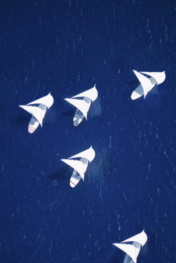 Sailboats Racing Photograph by Grant Faint