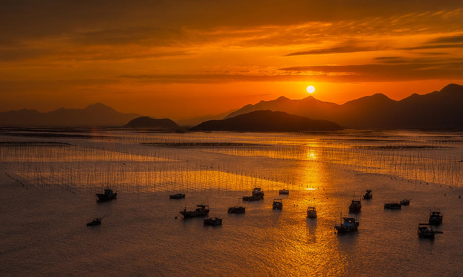Sailboats Under Sunset Photograph by Shimei Yan