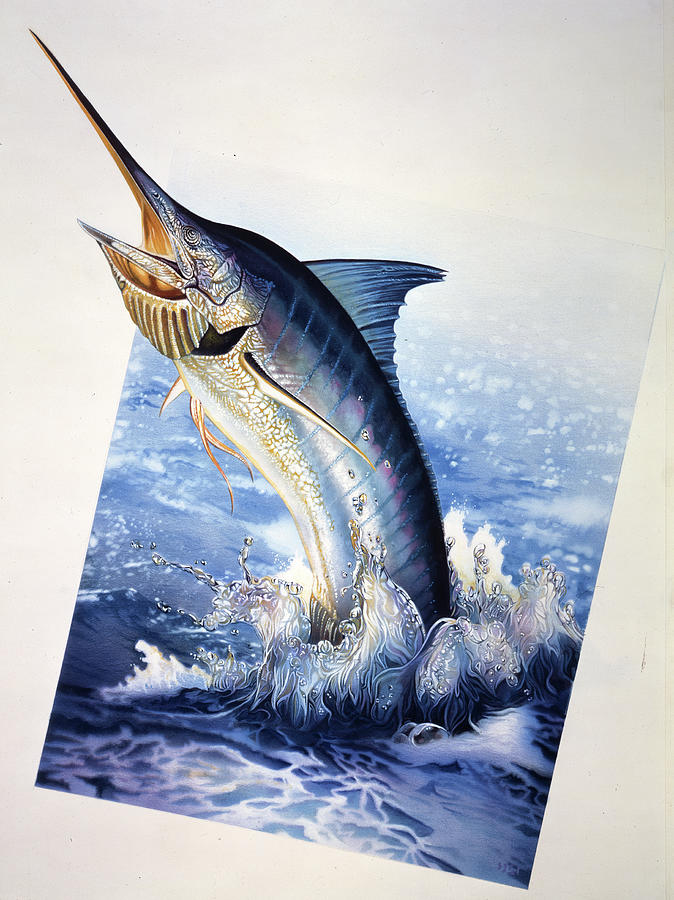 Swordfish Painting - Sailfish by John Rowe