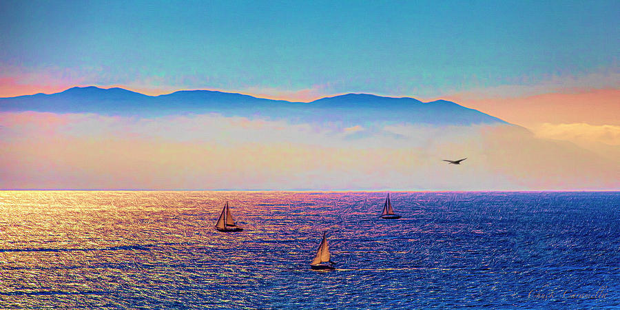 Sailing ... Photograph by Chuck Caramella