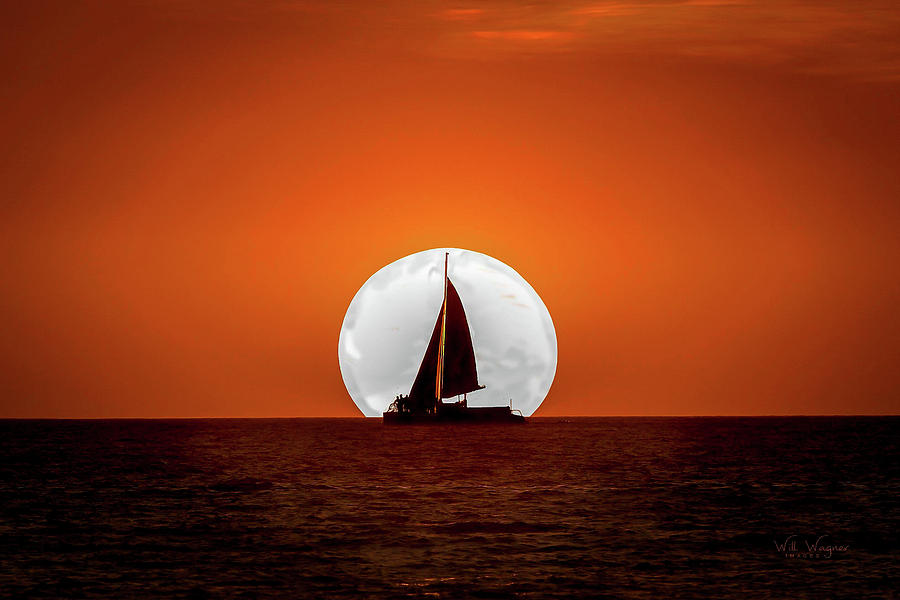 Sailing against the sun 2 Photograph by Will Wagner