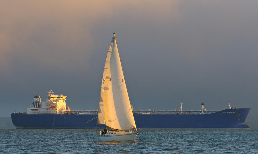 Sailing and Tanker Photograph by Ed Broberg