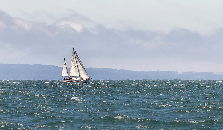 Sailing Away Photograph by Lisa Malecki