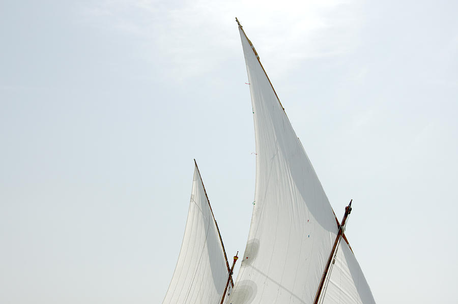 Sailing Boat Photograph by Miguel Sotomayor