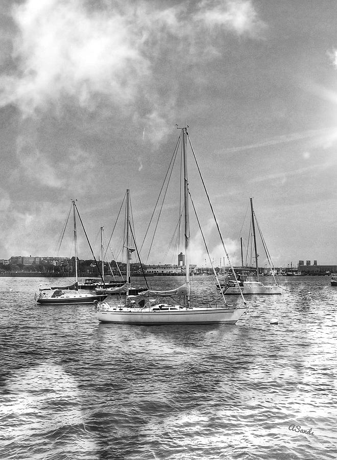 Sailing Boston Harbor Photograph by Anne Sands Fine Art America