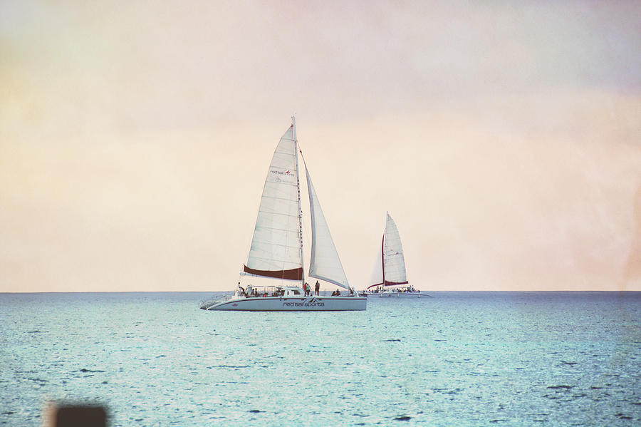 Sailing Delight Photograph by JAMART Photography