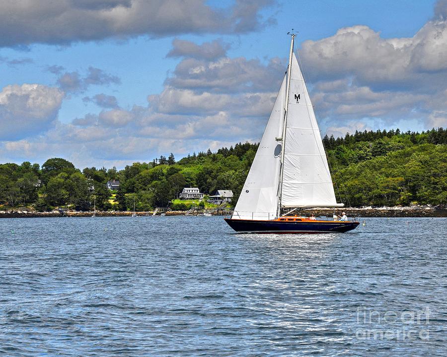Sailing on a August Summer Day Photograph by Steve Brown