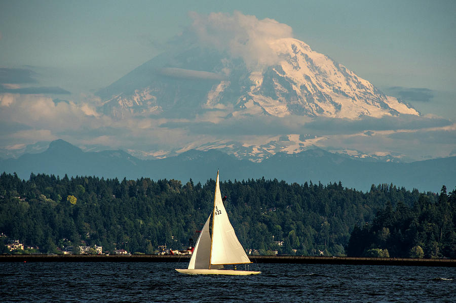 Sailing On Lake Washington Photograph by Matt McDonald
