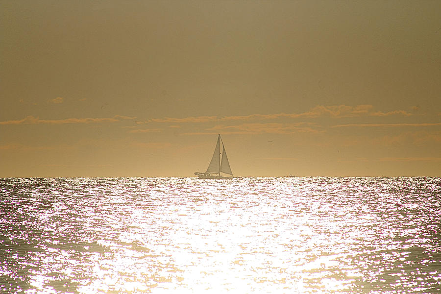 Sailing On Sunshine Photograph by Robert Banach