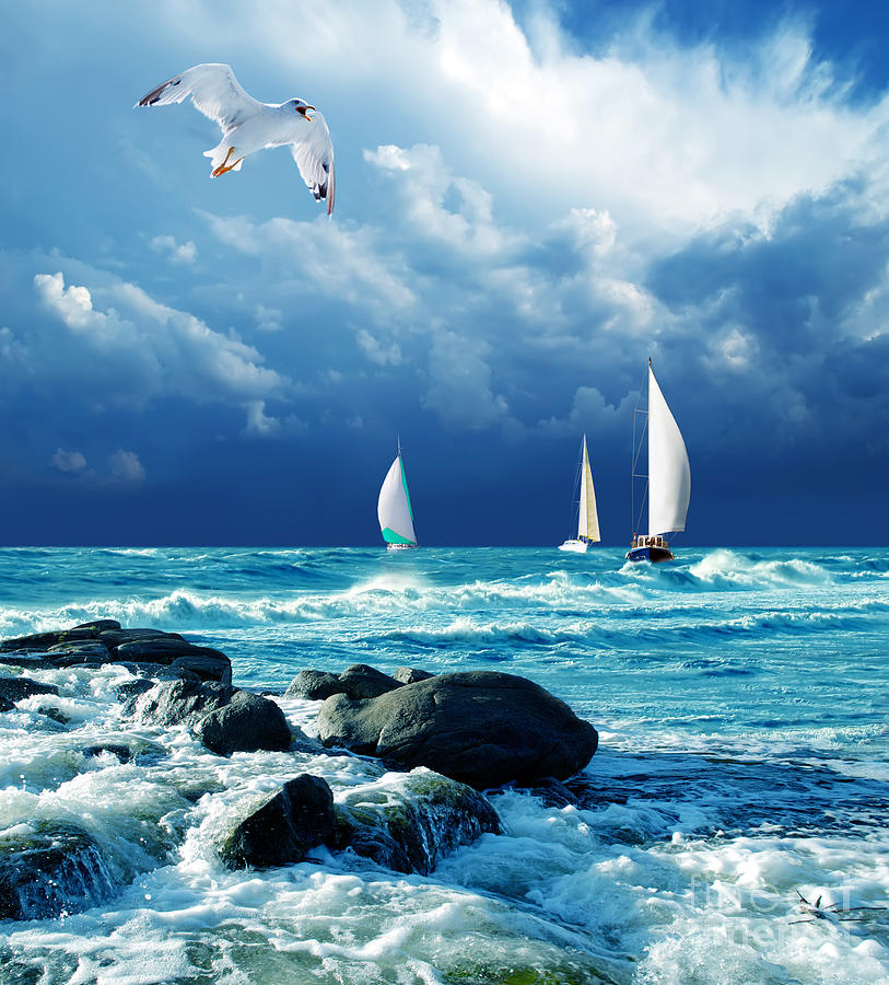 Sailboat Photograph - Sailing Regatta by Presniakov Oleksandr Sailboat Photograph - Sailing Regatta by Presniakov Oleksandr
