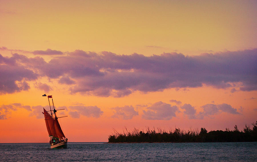 Sailing Photograph by Scott Meyer