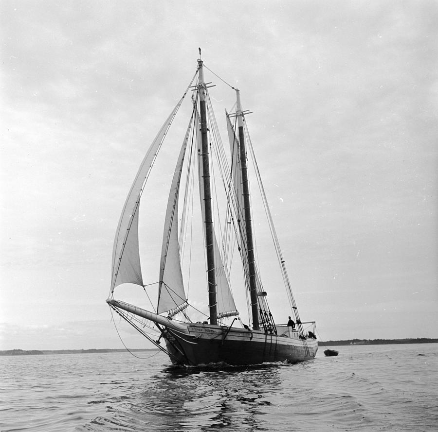 Sailing Ship Photograph by Orlando