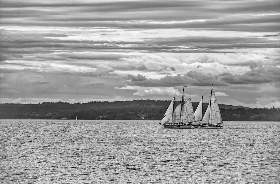Sailing the Sound Photograph by Steph Gabler