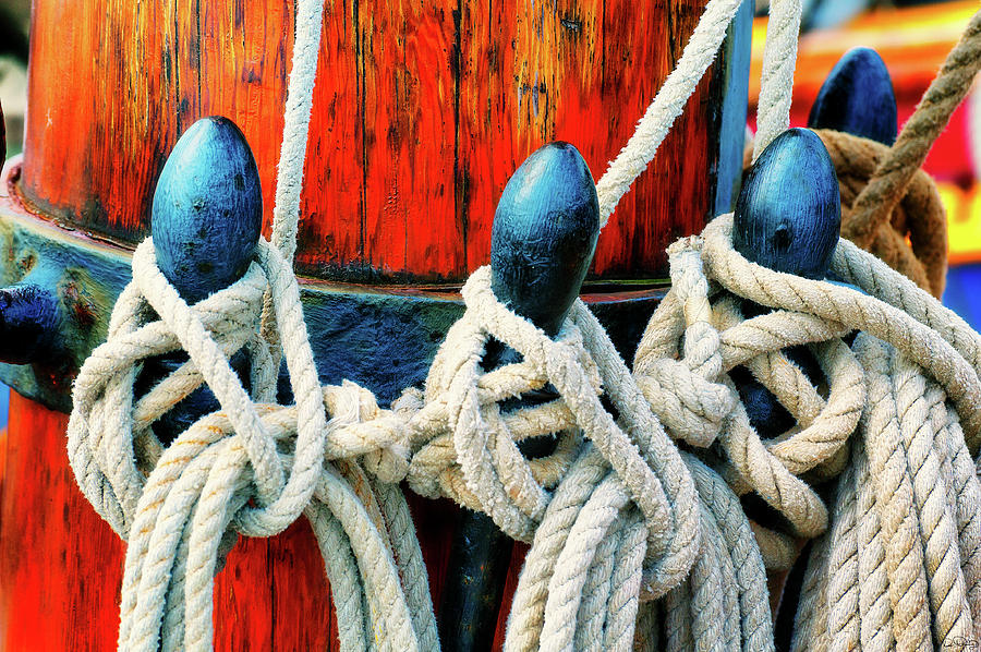 Sailors Ropes Photograph by Dee Browning