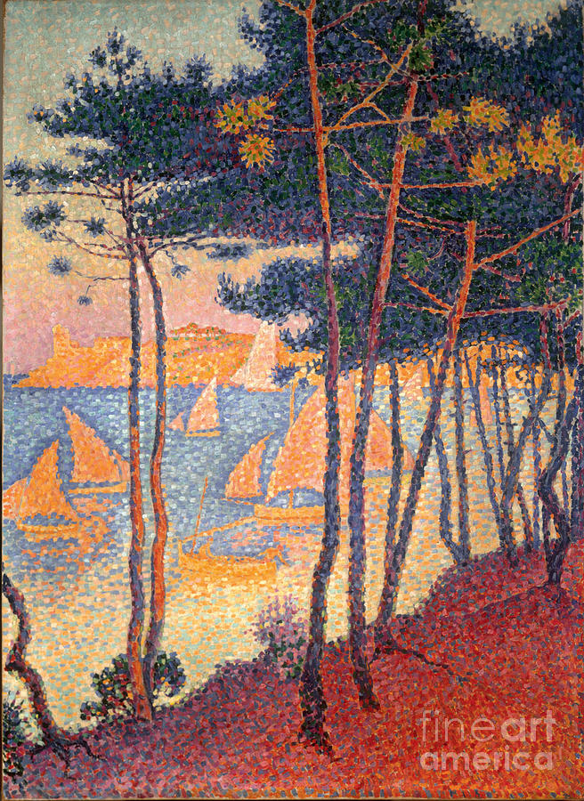 Sails And Pines. Artist Signac, Paul Drawing by Heritage Images
