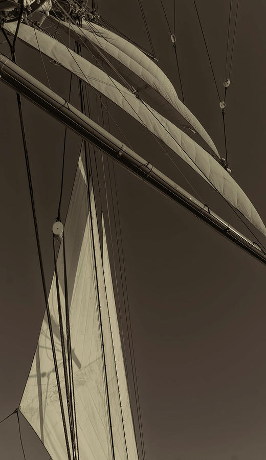 Sails and wind 1 Photograph by Cathy Anderson