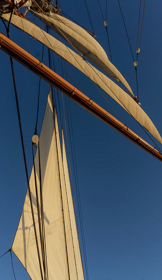 Sails and wind Photograph by Cathy Anderson