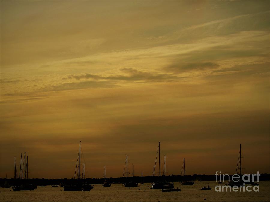 Sails At Rest, Newport Rhode Island Photograph