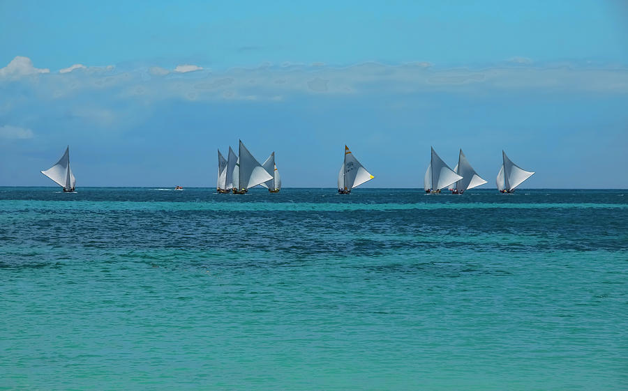 Sails Dancing In The Wind Photograph
