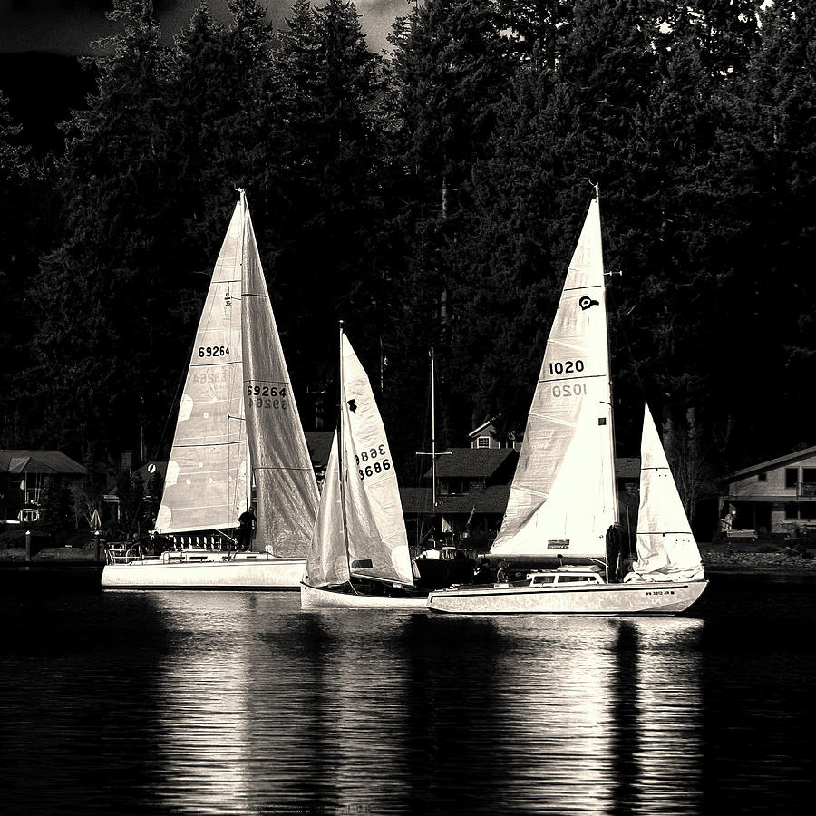 Sails Up Photograph by David Patterson