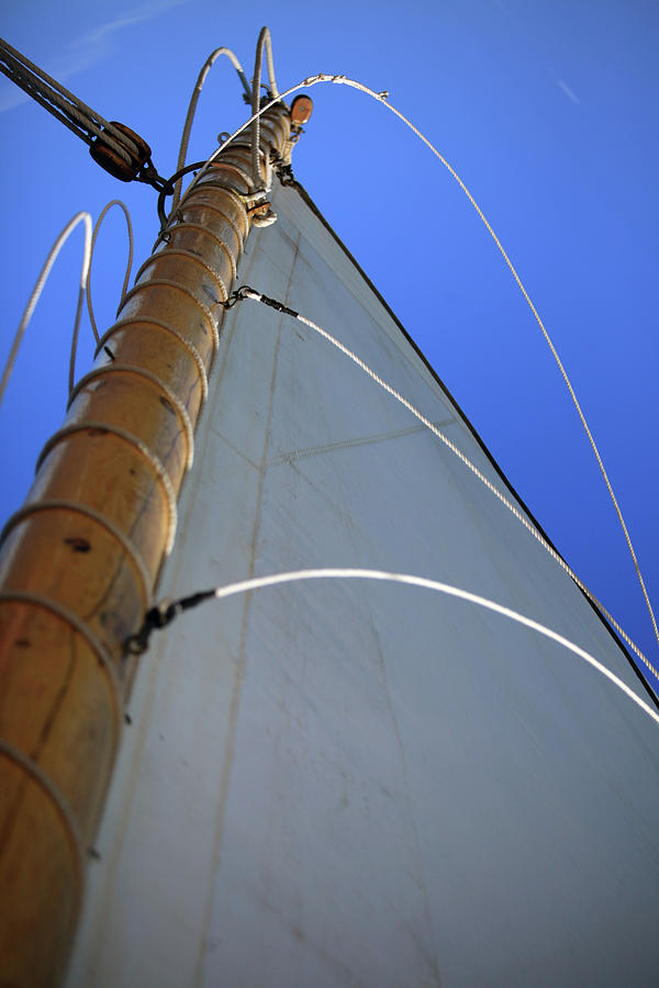 Sails Up Photograph by Karol Livote
