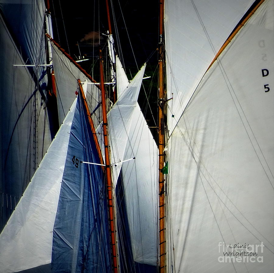 Regatta Photograph - Sails Vie For Wind by Lainie Wrightson