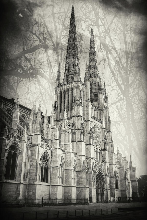 Saint Andre Cathedral Bordeaux France Black and White Photograph by Carol Japp