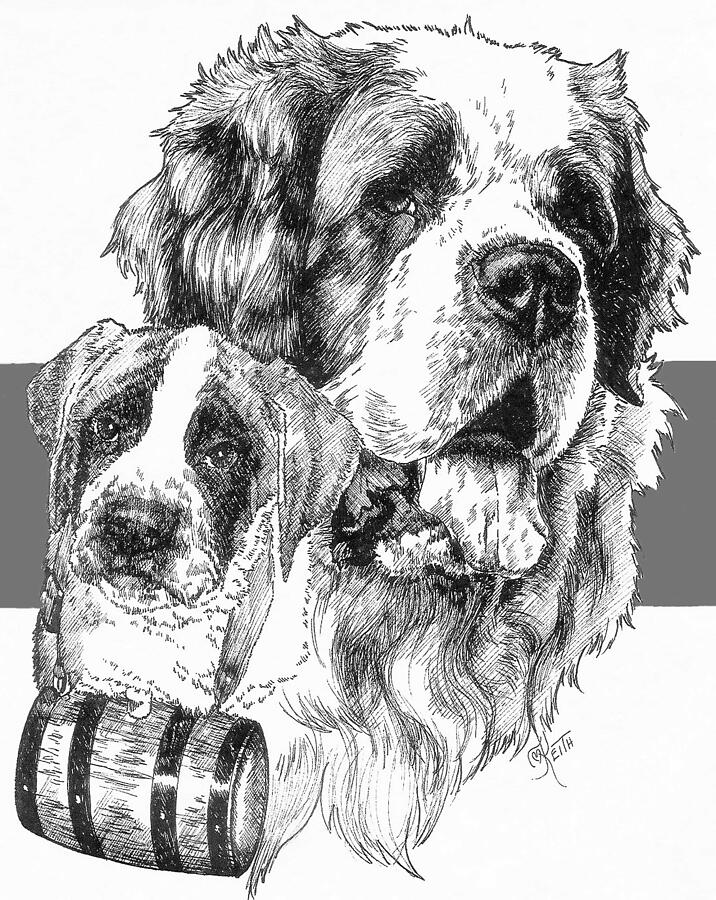 Saint Bernard and Pup Drawing by Barbara Keith