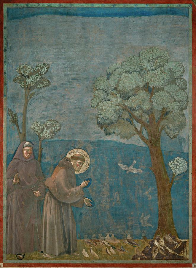 Saint Francis of Assisi preaching to the birds. Giotto. Painting by Giotto di Bondone -1266-1337-