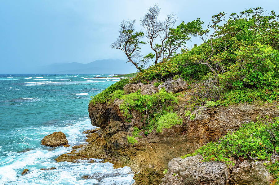 Saint Mary Coast in Jamaica by Debbie Ann Powell Saint Mary Coast in Jamaica by Debbie Ann Powell