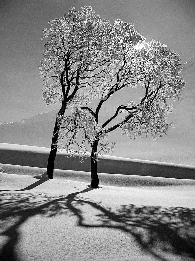 Landscape Photograph - Saint Moritz, Switzerland by Alfred Eisenstaedt